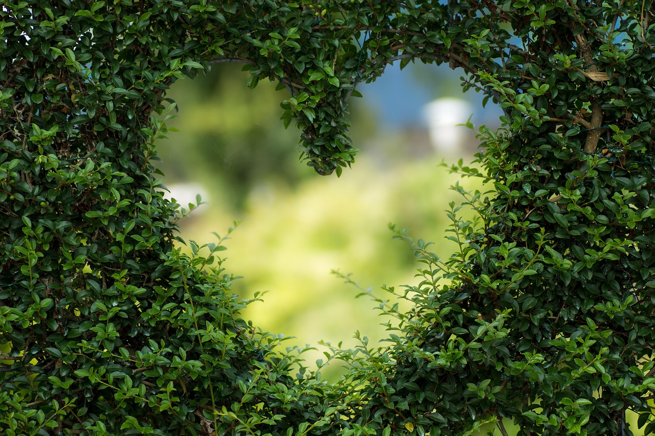 valentines day background, 4k wallpaper, heart, wallpaper hd, free background, leaves, nature, windows wallpaper, laptop wallpaper, foliage, garden, mac wallpaper, bush, cool backgrounds, heart shape, love, 4k wallpaper 1920x1080, free wallpaper, romance, desktop backgrounds, hd wallpaper, wallpaper 4k, plants, beautiful wallpaper, full hd wallpaper, background, zoom background, green background, green heart, green plants