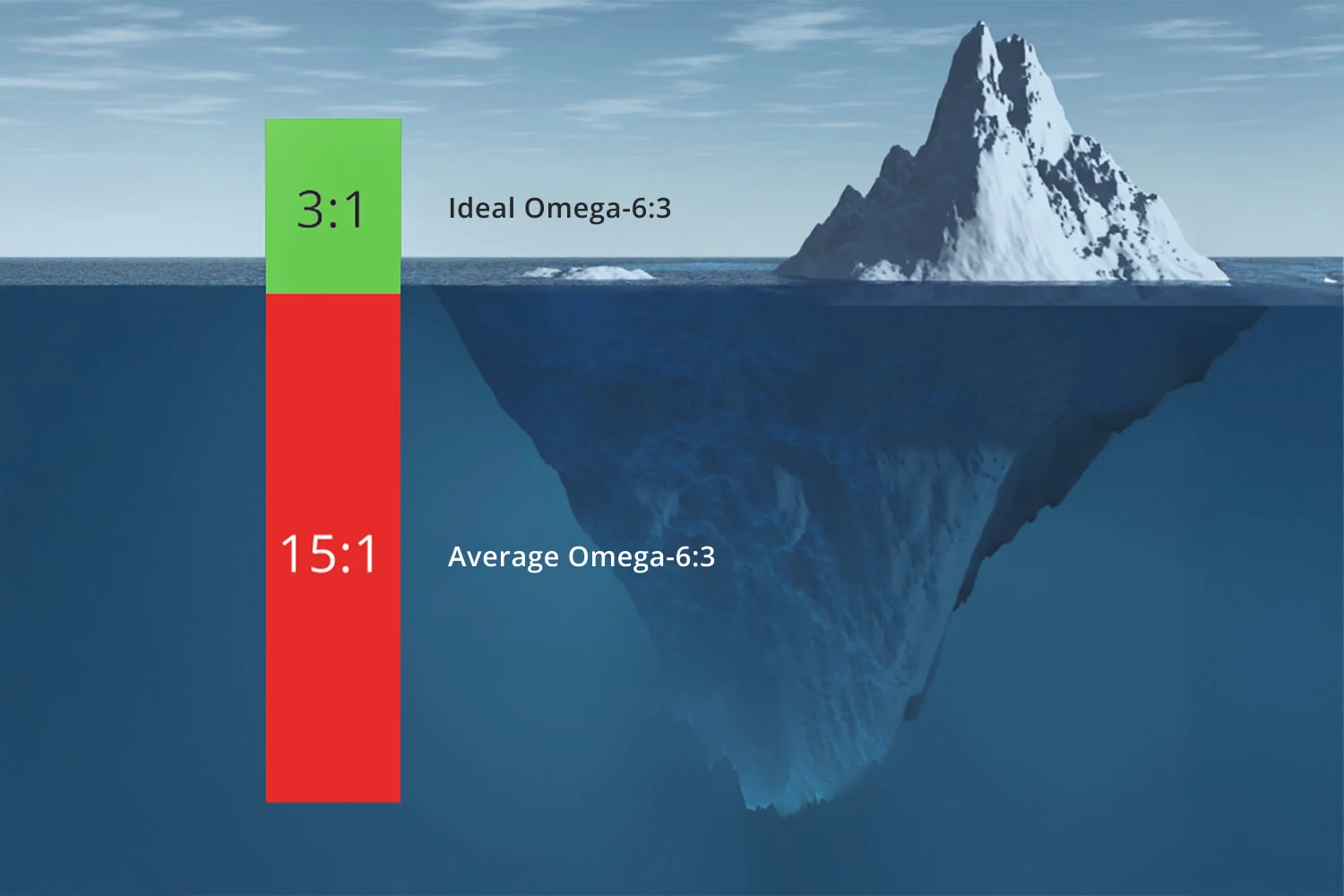 Omega-3 Wirkung Naehrstoffaufnahme
